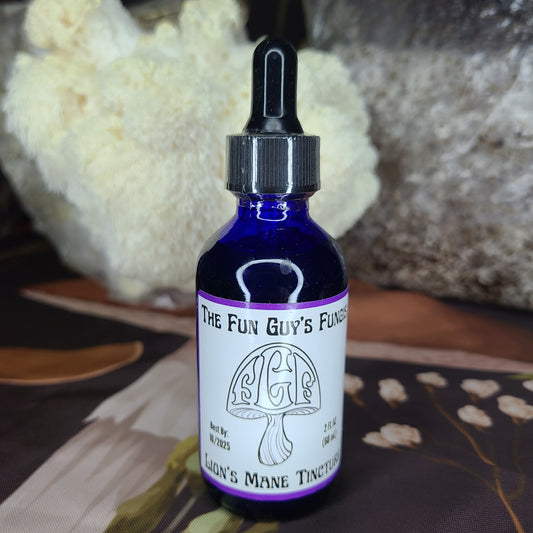 Lion's Mane Tincture