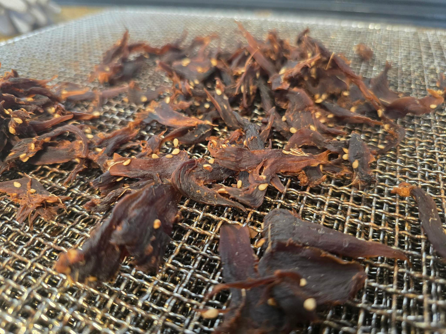 Lion's Mane Teriyaki Jerky